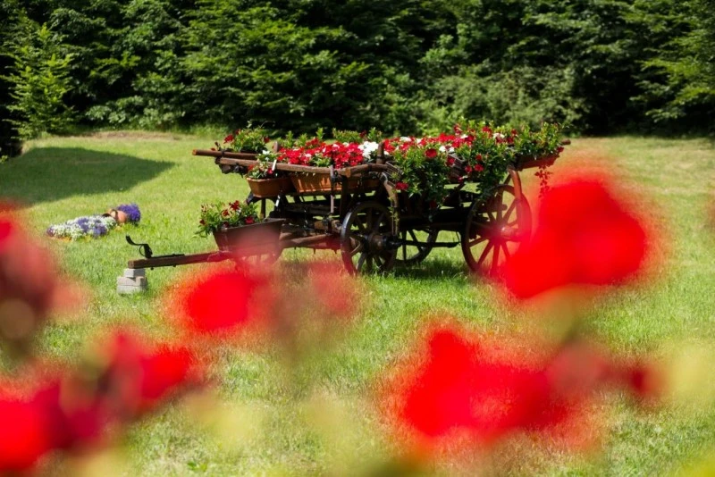 Reghin Cazare | Motel (K1544-29) Imaginea poate fi supusă drepturilor de autor. Se recomandă contactarea titularului drepturilor.