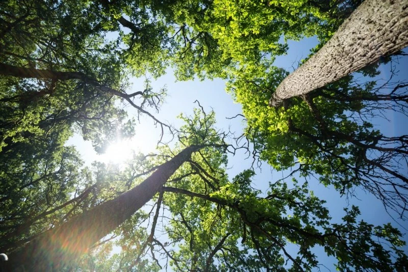 Szászrégen Szállás | Motel (K1544-86) A kép szerzői jogvédelem alatt állhat. Javasolt a kapcsolatfelvétel a jog tulajdonossal.