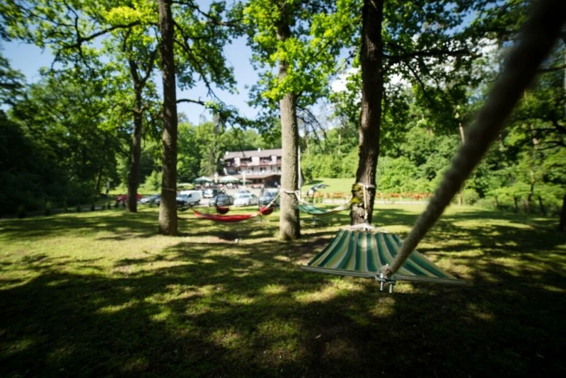 Szászrégen Szállás | Motel (K1544-87) A kép szerzői jogvédelem alatt állhat. Javasolt a kapcsolatfelvétel a jog tulajdonossal.