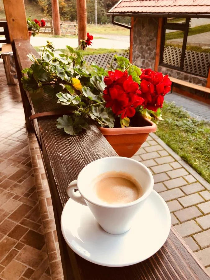 Szászrégen Szállás | Motel (K1545-12) A kép szerzői jogvédelem alatt állhat. Javasolt a kapcsolatfelvétel a jog tulajdonossal.