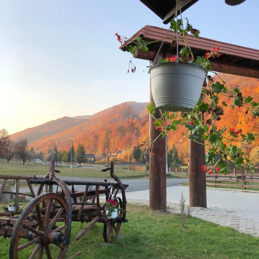 Szászrégen Szállás | Motel (K1545-32) A kép szerzői jogvédelem alatt állhat. Javasolt a kapcsolatfelvétel a jog tulajdonossal.