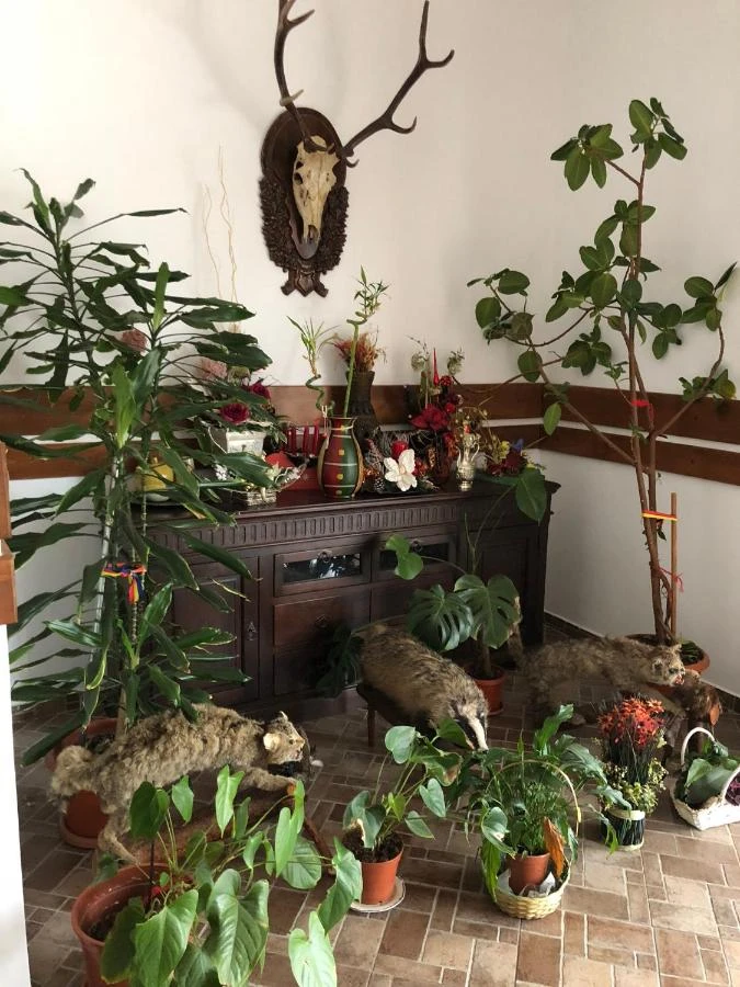 Szászrégen Szállás | Motel (K1545-34) A kép szerzői jogvédelem alatt állhat. Javasolt a kapcsolatfelvétel a jog tulajdonossal.