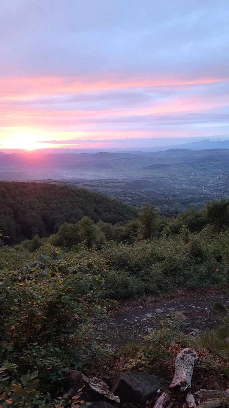 Reghin Cazare | Motel (K1545-92) Imaginea poate fi supusă drepturilor de autor. Se recomandă contactarea titularului drepturilor.