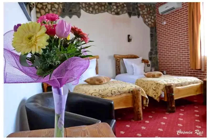 Aranyosgyéres Szállás | Motel (K0877-26) A kép szerzői jogvédelem alatt állhat. Javasolt a kapcsolatfelvétel a jog tulajdonossal.