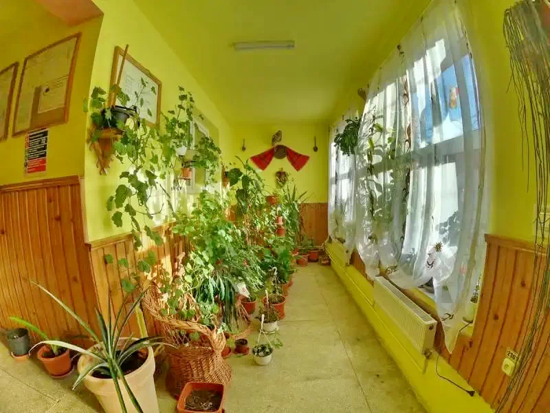 Cârțișoara Cazare | Motel (K0072-14) Imaginea poate fi supusă drepturilor de autor. Se recomandă contactarea titularului drepturilor.