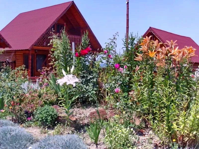 Cârțișoara Cazare | Motel (K0072-39) Imaginea poate fi supusă drepturilor de autor. Se recomandă contactarea titularului drepturilor.