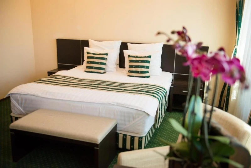 Déva Szállás | Motel (K0395-27) A kép szerzői jogvédelem alatt állhat. Javasolt a kapcsolatfelvétel a jog tulajdonossal.