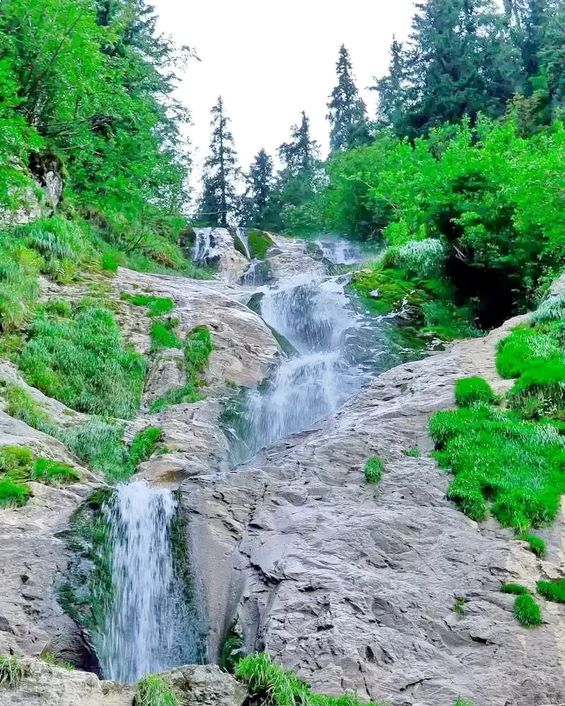 Sighetu Marmației Cazare | Pensiune turistică (K1057-34) Imaginea poate fi supusă drepturilor de autor. Se recomandă contactarea titularului drepturilor.