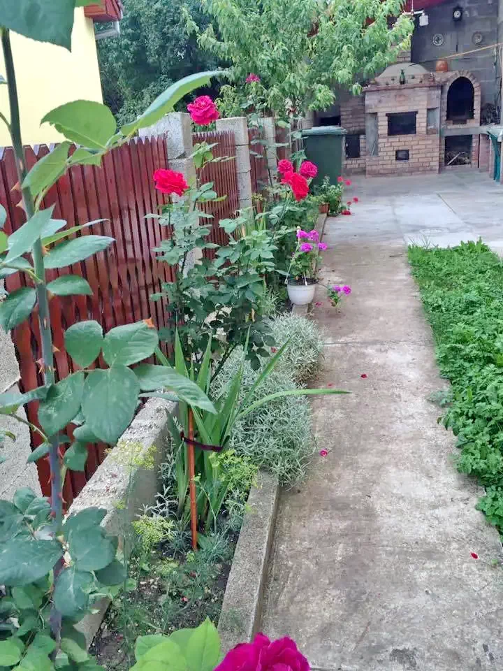 Szék Szállás | Motel (K0624-48) A kép szerzői jogvédelem alatt állhat. Javasolt a kapcsolatfelvétel a jog tulajdonossal.