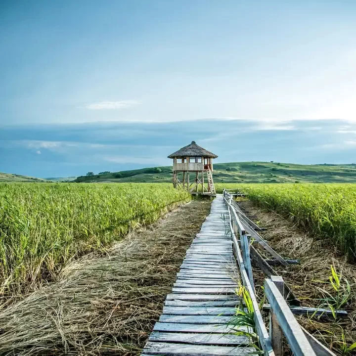 Szék Szállás | Motel (K0624-52) A kép szerzői jogvédelem alatt állhat. Javasolt a kapcsolatfelvétel a jog tulajdonossal.