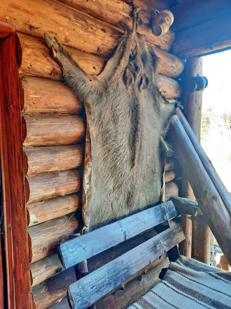 Beliș Cazare | Sat de vacanță (K0056-19) Imaginea poate fi supusă drepturilor de autor. Se recomandă contactarea titularului drepturilor.