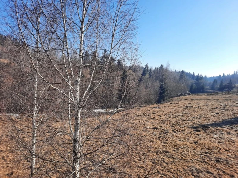 Jósikafalva Szállás | Üdülőfalu (K0056-24) A kép szerzői jogvédelem alatt állhat. Javasolt a kapcsolatfelvétel a jog tulajdonossal.