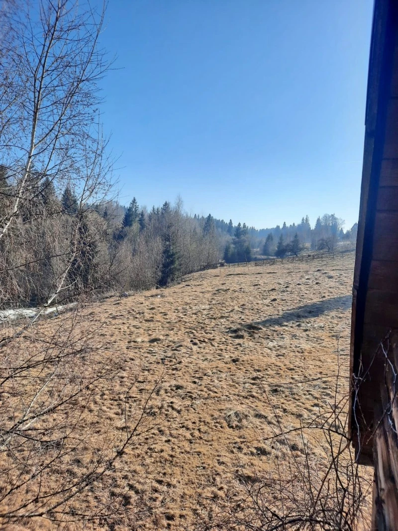 Beliș Cazare | Sat de vacanță (K0056-25) Imaginea poate fi supusă drepturilor de autor. Se recomandă contactarea titularului drepturilor.