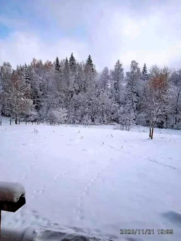 Beliș Cazare | Sat de vacanță (K0056-54) Imaginea poate fi supusă drepturilor de autor. Se recomandă contactarea titularului drepturilor.