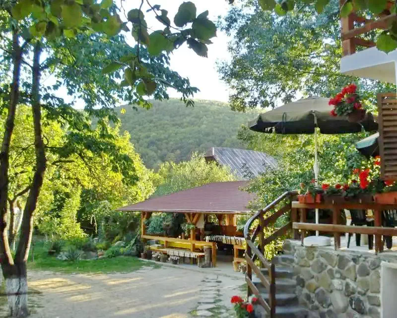 Cernat Cazare | Motel (K0597-29) Imaginea poate fi supusă drepturilor de autor. Se recomandă contactarea titularului drepturilor.