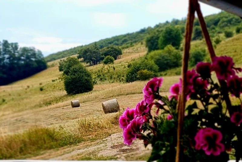 Cluj-Napoca Cazare | Motel (K1394-34) Imaginea poate fi supusă drepturilor de autor. Se recomandă contactarea titularului drepturilor.