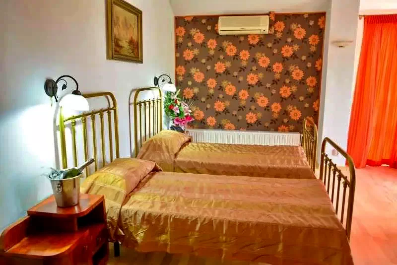 Timișoara Cazare | Pensiune turistică (K0909-19) Imaginea poate fi supusă drepturilor de autor. Se recomandă contactarea titularului drepturilor.