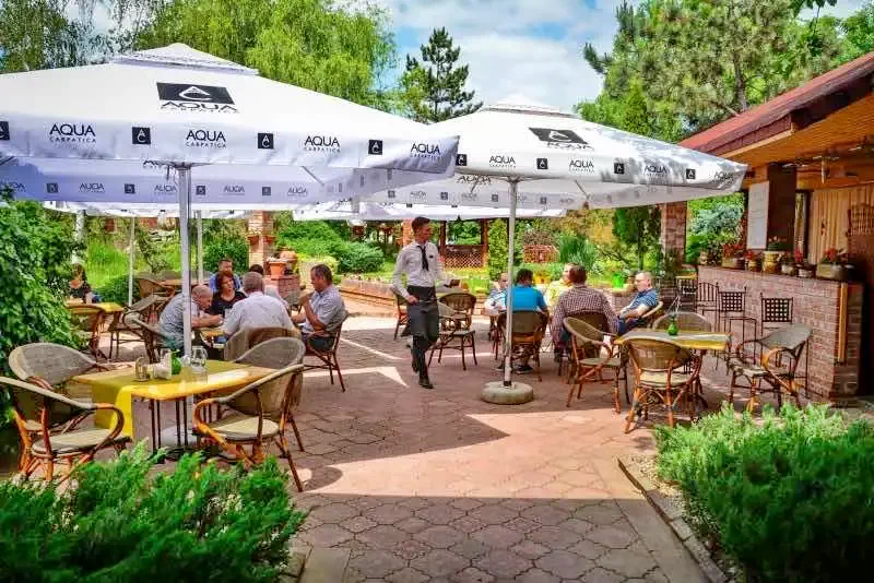 Timișoara Cazare | Pensiune turistică (K0909-25) Imaginea poate fi supusă drepturilor de autor. Se recomandă contactarea titularului drepturilor.