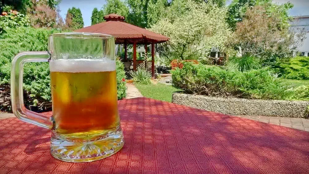 Timișoara Cazare | Pensiune turistică (K0909-41) Imaginea poate fi supusă drepturilor de autor. Se recomandă contactarea titularului drepturilor.