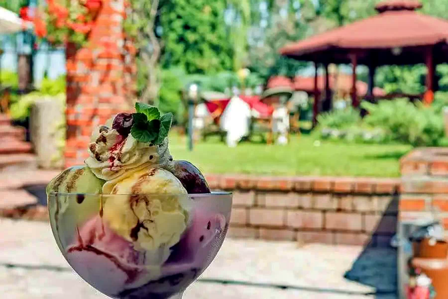 Timișoara Cazare | Pensiune turistică (K0909-46) Imaginea poate fi supusă drepturilor de autor. Se recomandă contactarea titularului drepturilor.