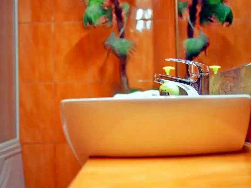 Temesvár Szállás | Motel (K0918-23) A kép szerzői jogvédelem alatt állhat. Javasolt a kapcsolatfelvétel a jog tulajdonossal.