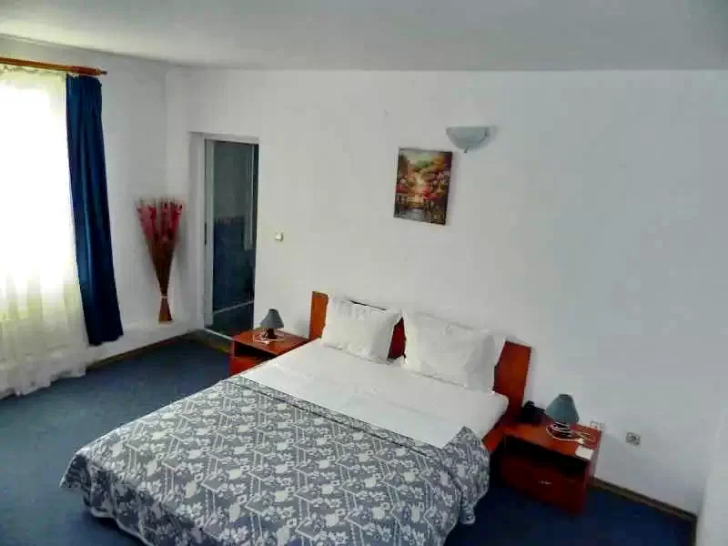 Timișoara Cazare | Pensiune turistică (K0923-6) Imaginea poate fi supusă drepturilor de autor. Se recomandă contactarea titularului drepturilor.