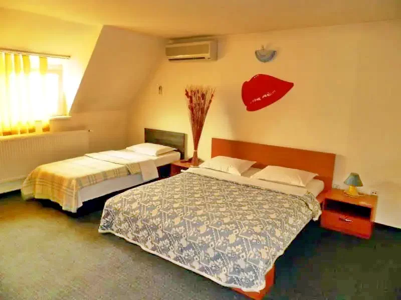 Timișoara Cazare | Pensiune turistică (K0923-21) Imaginea poate fi supusă drepturilor de autor. Se recomandă contactarea titularului drepturilor.