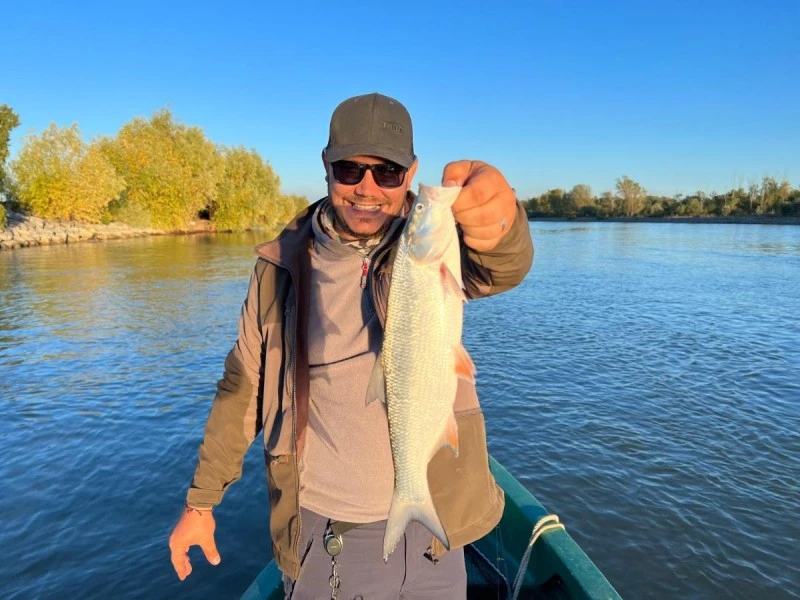 Crișan Szállás | Motel (K1336-53) A kép szerzői jogvédelem alatt állhat. Javasolt a kapcsolatfelvétel a jog tulajdonossal.