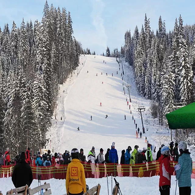 Borsec Cazare | Motel (K0050-19) Imaginea poate fi supusă drepturilor de autor. Se recomandă contactarea titularului drepturilor.