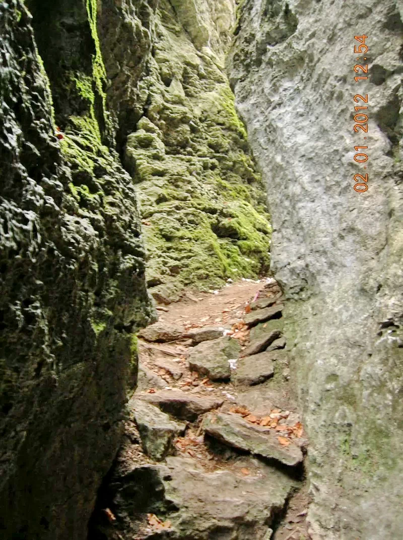 Borsec Cazare | Motel (K0050-21) Imaginea poate fi supusă drepturilor de autor. Se recomandă contactarea titularului drepturilor.