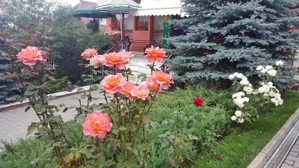 Săcele Cazare | Motel (K0616-5) Imaginea poate fi supusă drepturilor de autor. Se recomandă contactarea titularului drepturilor.