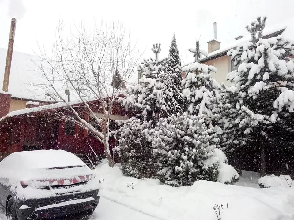 Săcele Cazare | Motel (K0616-15) Imaginea poate fi supusă drepturilor de autor. Se recomandă contactarea titularului drepturilor.