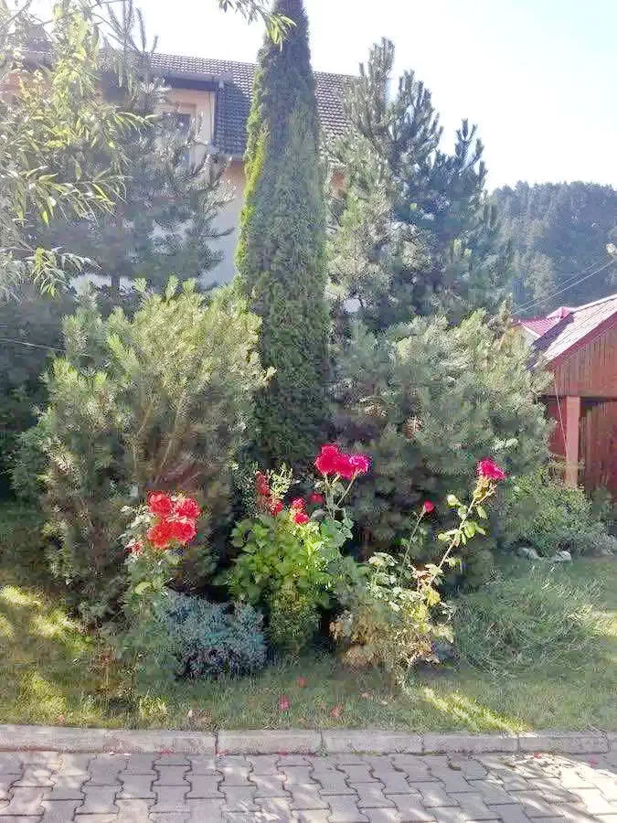 Négyfalu Szállás | Motel (K0616-25) A kép szerzői jogvédelem alatt állhat. Javasolt a kapcsolatfelvétel a jog tulajdonossal.