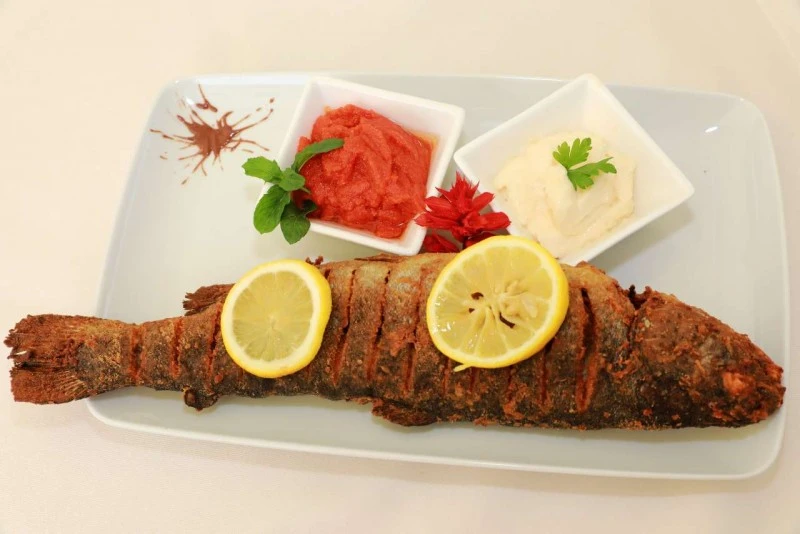 Orșova Cazare | Pensiune turistică (K1557-38) Imaginea poate fi supusă drepturilor de autor. Se recomandă contactarea titularului drepturilor.