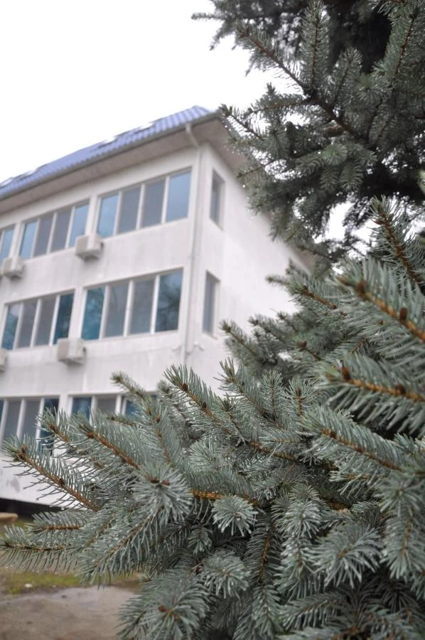 Orsova Szállás | Turisztikai panzió (K1555-15) A kép szerzői jogvédelem alatt állhat. Javasolt a kapcsolatfelvétel a jog tulajdonossal.