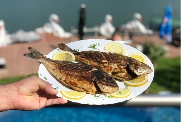 Dubova Cazare | Pensiune (K1560-7) Imaginea poate fi supusă drepturilor de autor. Se recomandă contactarea titularului drepturilor.