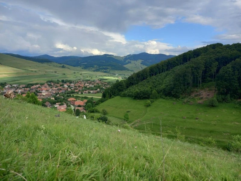 Armășeni Cazare | Hotel**** (K0571-1) Imaginea poate fi supusă drepturilor de autor. Se recomandă contactarea titularului drepturilor.