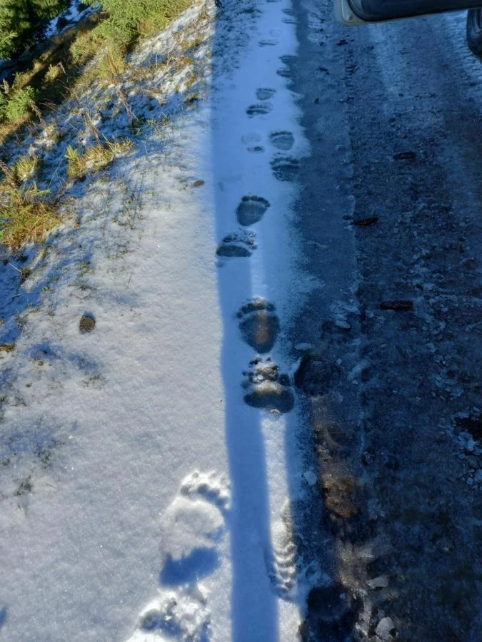 Csíkmenaság Szállás | Hotel**** (K0571-12) A kép szerzői jogvédelem alatt állhat. Javasolt a kapcsolatfelvétel a jog tulajdonossal.