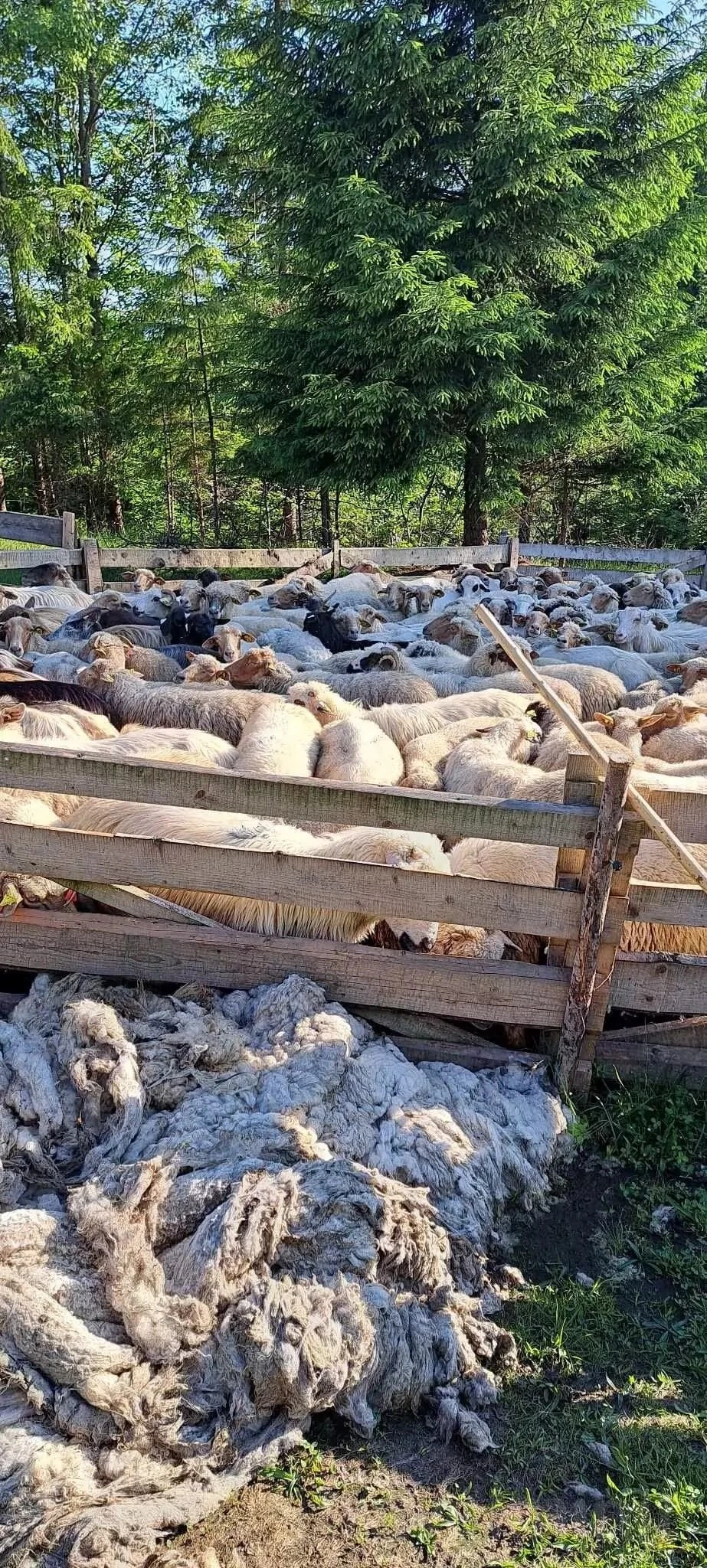 Armășeni Cazare | Hotel**** (K0570-27) Imaginea poate fi supusă drepturilor de autor. Se recomandă contactarea titularului drepturilor.