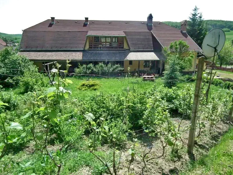 Călușeri Cazare | Pensiune (K0216-15) Imaginea poate fi supusă drepturilor de autor. Se recomandă contactarea titularului drepturilor.