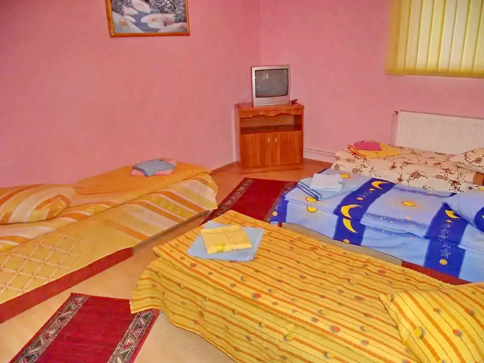 Sândominic Cazare | Cabană (K0288-8) Imaginea poate fi supusă drepturilor de autor. Se recomandă contactarea titularului drepturilor.