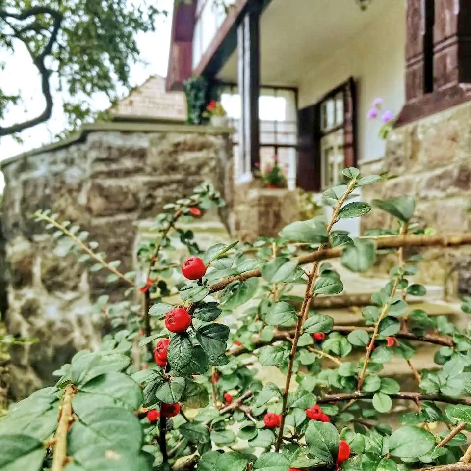 Malnaș-Băi Cazare | Motel (K1221-1) Imaginea poate fi supusă drepturilor de autor. Se recomandă contactarea titularului drepturilor.