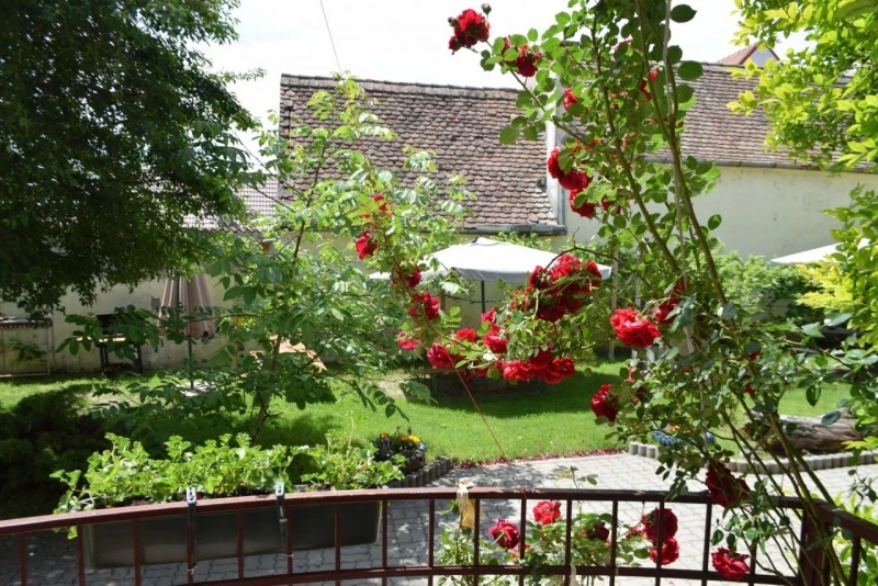 Sibiu Cazare | Motel (K0567-14) Imaginea poate fi supusă drepturilor de autor. Se recomandă contactarea titularului drepturilor.