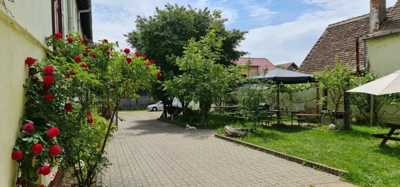 Nagyszeben Szállás | Motel (K0567-42) A kép szerzői jogvédelem alatt állhat. Javasolt a kapcsolatfelvétel a jog tulajdonossal.