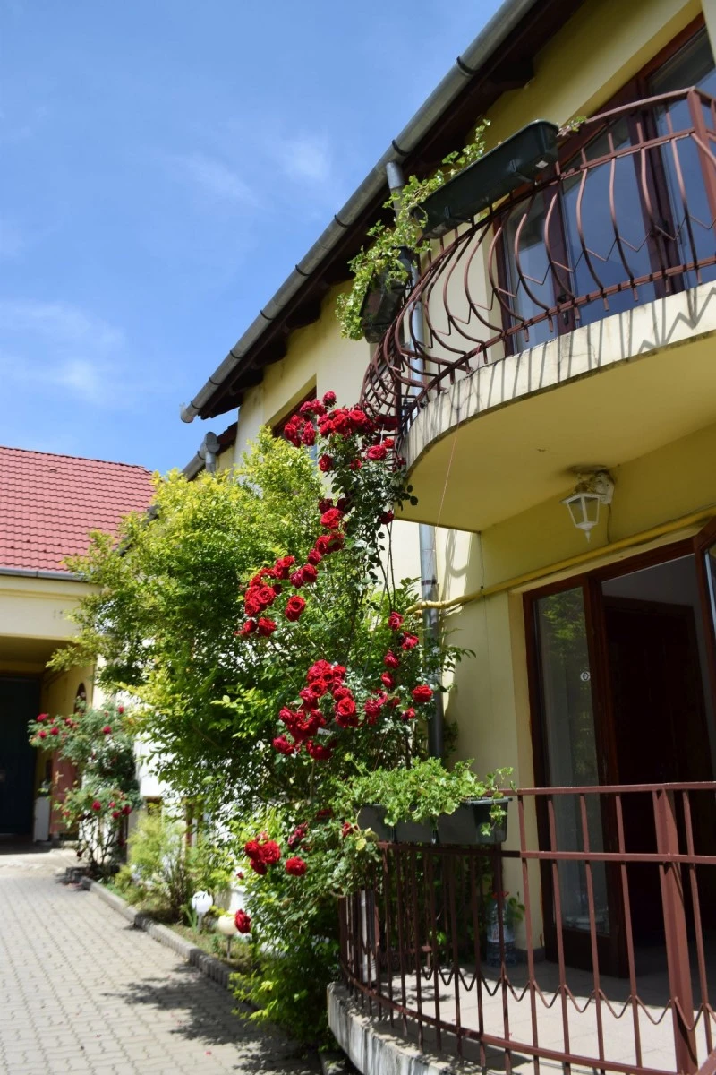 Nagyszeben Szállás | Motel (K0567-60) A kép szerzői jogvédelem alatt állhat. Javasolt a kapcsolatfelvétel a jog tulajdonossal.