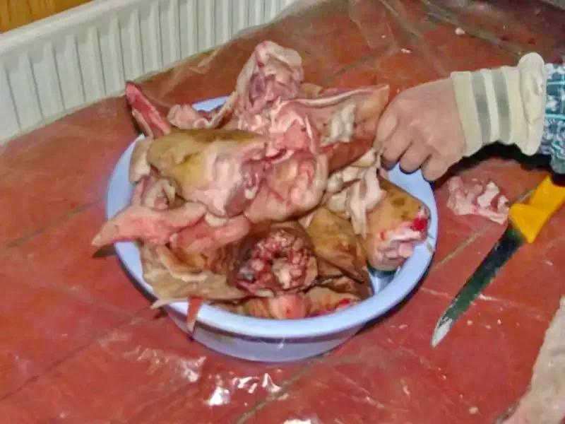 Sândominic Cazare | Motel (K0284-30) Imaginea poate fi supusă drepturilor de autor. Se recomandă contactarea titularului drepturilor.