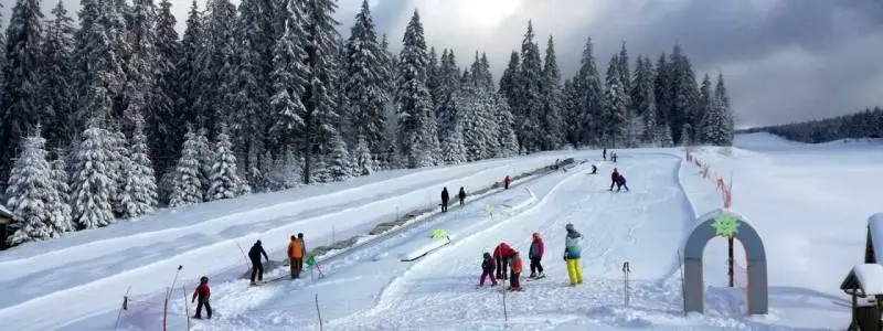 Partia de schi Bucin