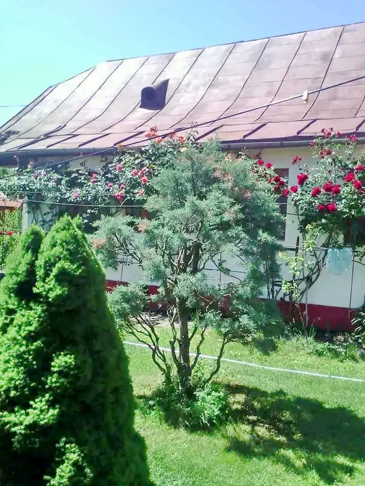 Rimetea Cazare | Hotel**** (K0586-9) Imaginea poate fi supusă drepturilor de autor. Se recomandă contactarea titularului drepturilor.