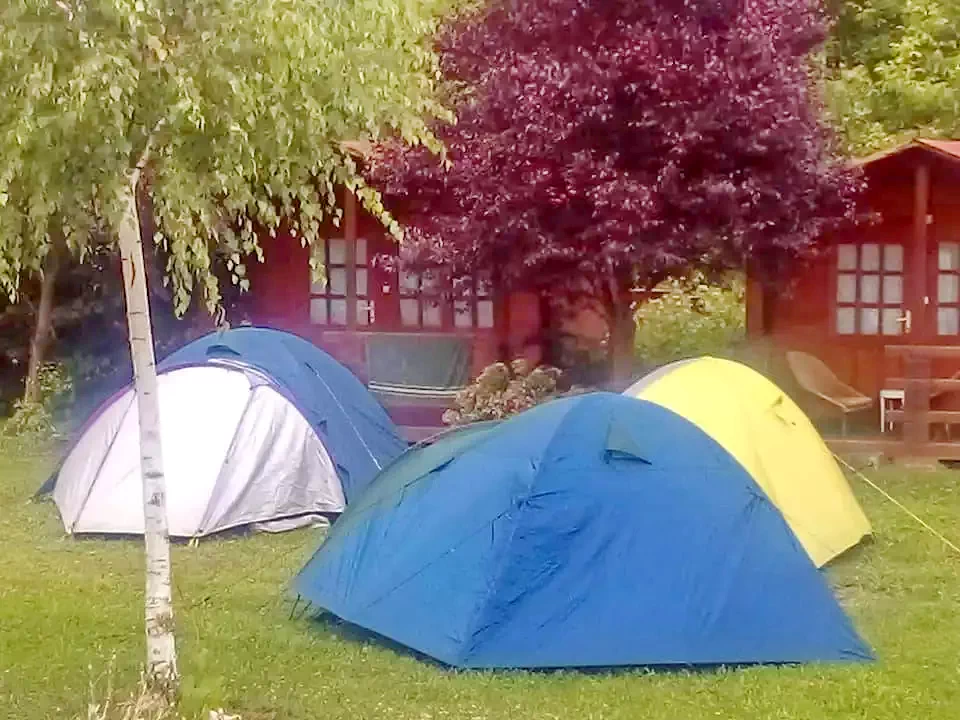 Rimetea Cazare | Casă de oaspeți (K0586-13) Imaginea poate fi supusă drepturilor de autor. Se recomandă contactarea titularului drepturilor.