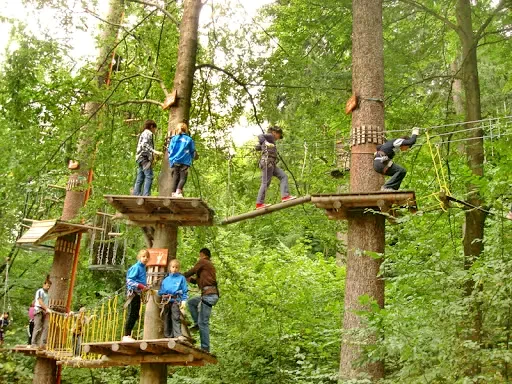 Csikpálfalva Szállás | Motel (K0181-40) A kép szerzői jogvédelem alatt állhat. Javasolt a kapcsolatfelvétel a jog tulajdonossal.